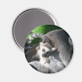 Lemurs eten magneet (Voorkant / Achterkant)