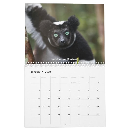 Lemurs van de agenda van Madagaskar Kalender (Jan 2026)