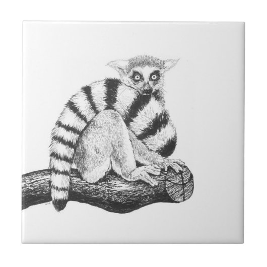 Lemurtekening Tegeltje (Voorkant)