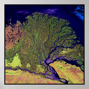 Lena Delta Rusland Poster
