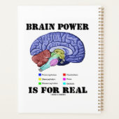 L'Énergie Cervicale Est Pour L'Attitude Anatomique (Dos)