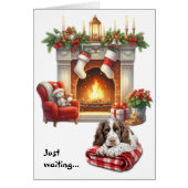L'English Springer Spaniel attend Noël (Devant)