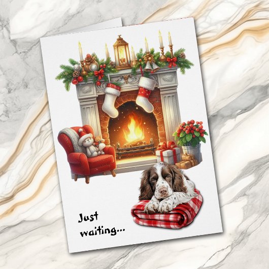 L'English Springer Spaniel attend Noël