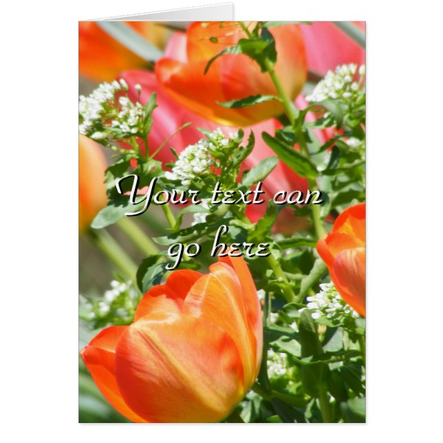 Lentbloemen (Voorkant)