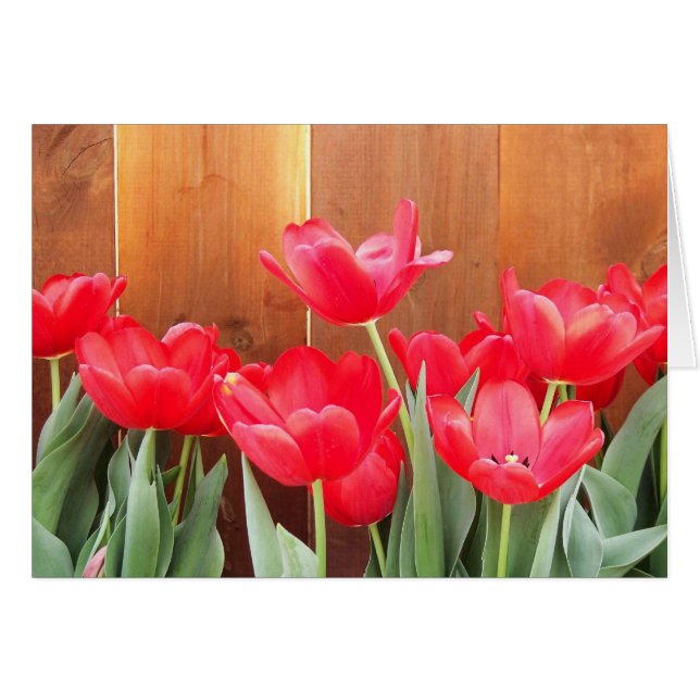 Lentbloemen (Voorkant Horizontaal)