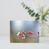 Lentbloemen Briefkaart (Staand voorkant)