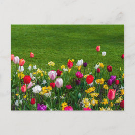 Lentbloemen Briefkaart