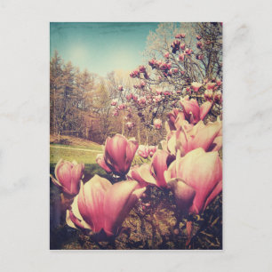 Lentbloemen Briefkaart