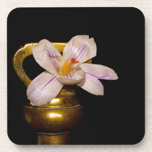 Lentbloemen Drankjes Onderzetter