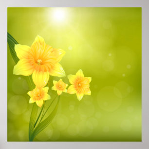 Lentbloemen Gele deffodis Poster