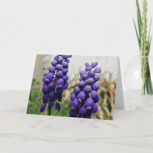 Lentbloemen Kaart (Voorkant)