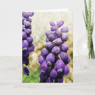 Lentbloemen Kaart