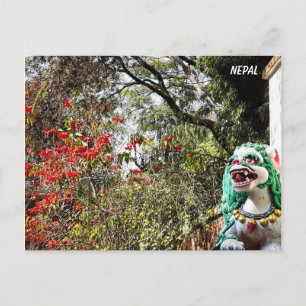 Lentbloemen, kloostervoeders - Nepal Postca Briefkaart