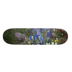 Lentbloemen langs een tuinpad, Georgia Skateboard