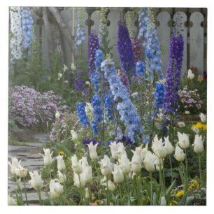 Lentbloemen langs een tuinpad, Georgia Tegeltje