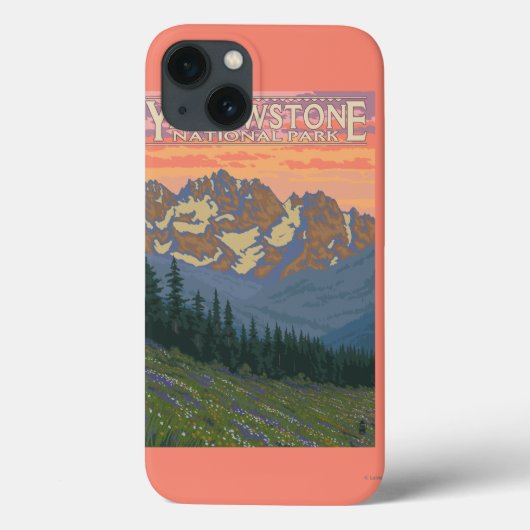 Lentbloemen - Nationaal Park van geelsteen Case-Mate iPhone Case (Achterkant)