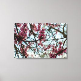 Lentbloemen op een boom canvas afdruk
