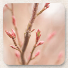 Lentdromen kurkonderzetters