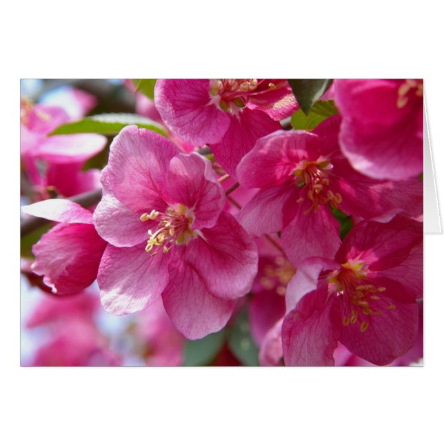 lente (Voorkant Horizontaal)