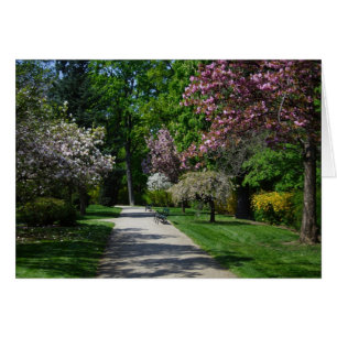 lente