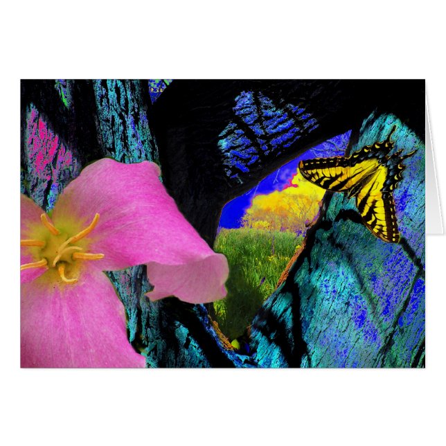 lente (Voorkant Horizontaal)