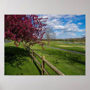 Lente aan de Rivercut Poster