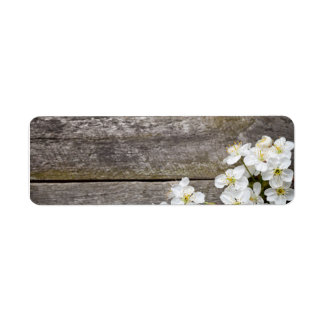 Lente achtergrond met kersenbloemen etiket