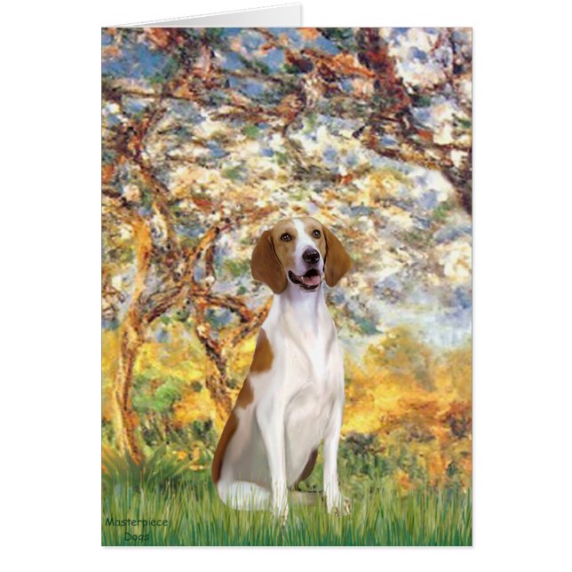 Lente- Amerikaanse Foxhound (Voorkant)