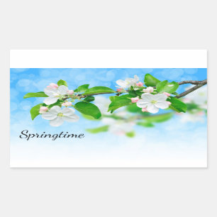 Lente (appelbloemen) rechthoekige sticker