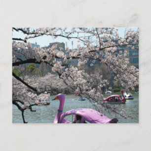 Lente bij Shinobazu Pond: Ueno, Tokio Briefkaart