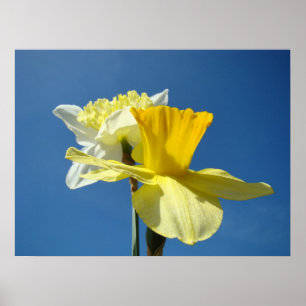 Lente Blauwe Lucht kunstposters Narcissen Bloemen Poster