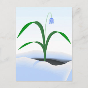 Lente bloem in de sneeuw briefkaart