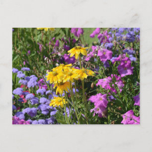 Lente bloemen briefkaart