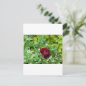 lente bloemen briefkaart (Staand voorkant)