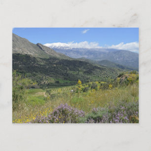 Lente Bloemen in het Kretens Landschap Briefkaart