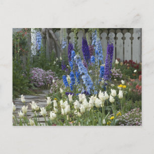 Lente bloemen langs een tuinpad, Georgia Briefkaart