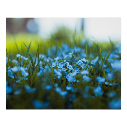 Lente bloemen op het veld perfect poster (Voorkant)