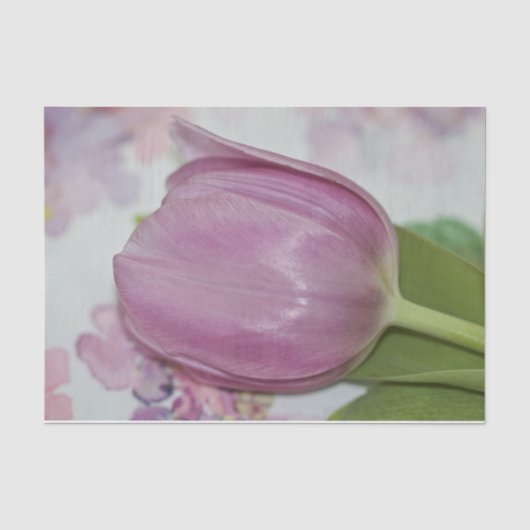 Lente Bloemen Tulp en hortensia Bloemen Tissuepapier (Voorkant)