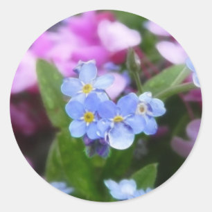 Lente bloemen - Vergeet me nots en roodbuien Ronde Sticker