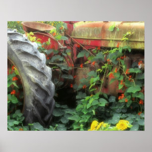 Lente bloemen versieren een oude tractor. poster