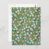 Lente bloesems briefkaart (Voorkant / Achterkant)