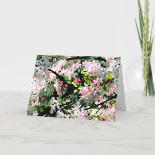 Lente bloesems kaart (Voorkant)