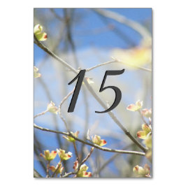 Lente bloesems kaart