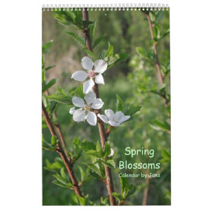Lente bloesems-kalender van Janz Kalender