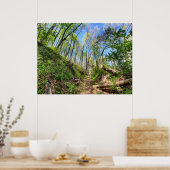 Lente Bosfoto Poster (Keuken)