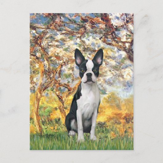 Lente - Boston Terrier #1 Briefkaart (Voorkant)