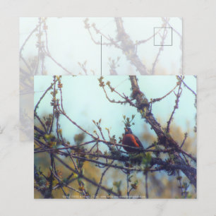 lente briefkaart