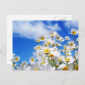 lente briefkaart (Voorkant / Achterkant)