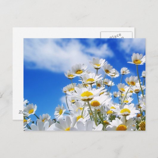 lente briefkaart (Voorkant / Achterkant)