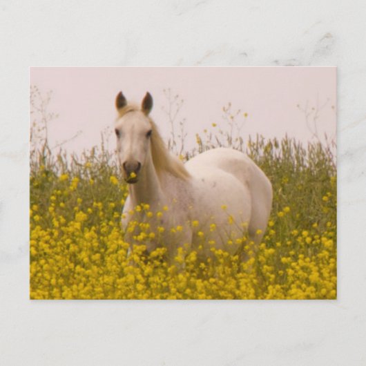 lente briefkaart (Voorkant)